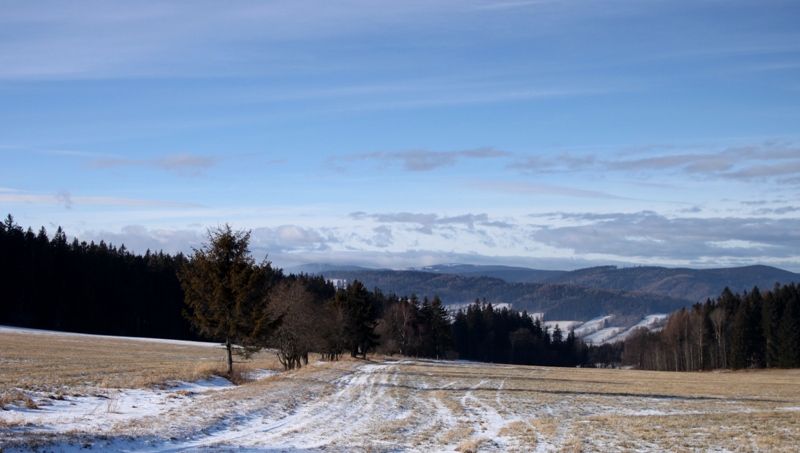 Obrázek