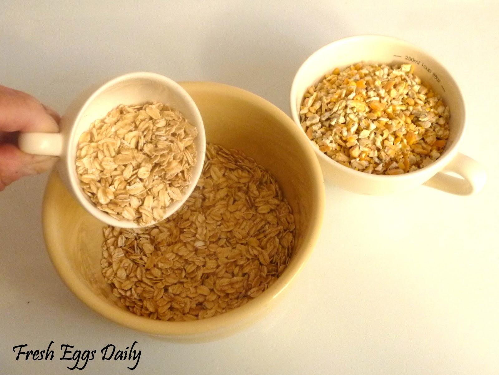 Mixing your Own Chicken Layer Feed Fresh Eggs Daily®