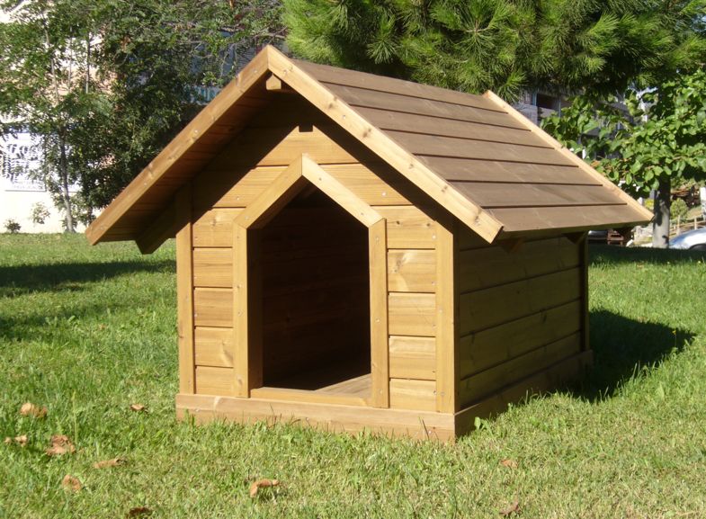 köpek satılık