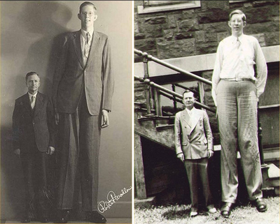 How to Increase Height by Hanging? How to Increase Height by Hanging?