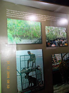 "Mangrove Interpretation centre" in  Sajnekhali Watchtower Complex.