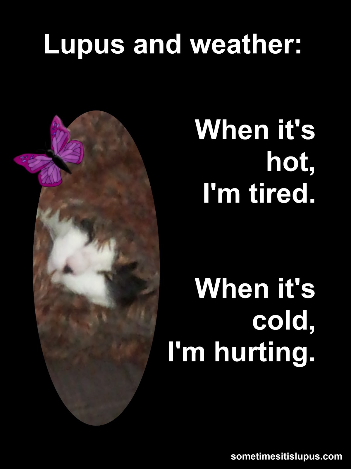 Sometimes It Is Lupus Lupus and Weather