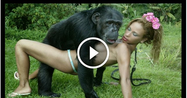 Порно Девушку Трахает Шимпанзе.