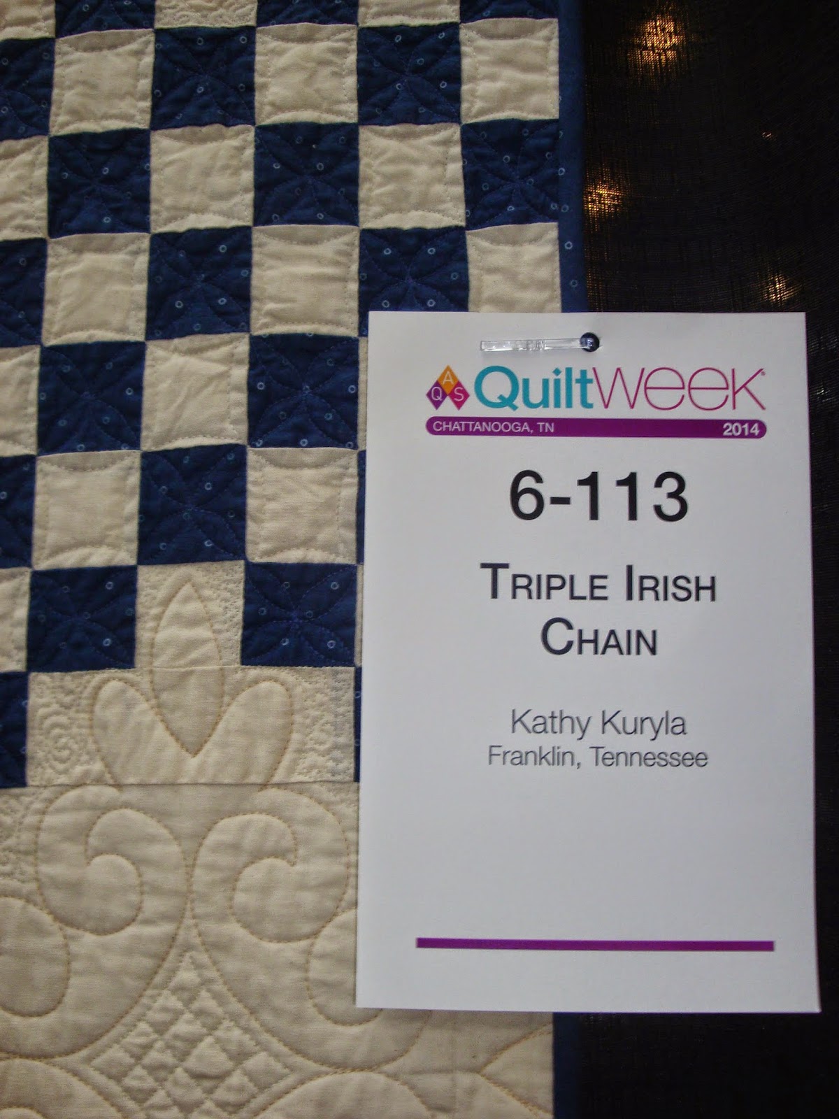 FABRIC THERAPY 2014 AQS Chattanooga Quilt Show, Part One...