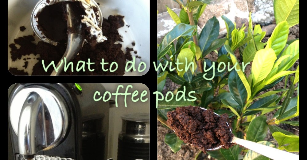 Recycle your coffee pod capsules Basil and Chaise