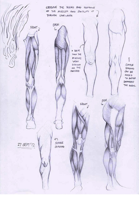 Anatomy+-+0030.jpg