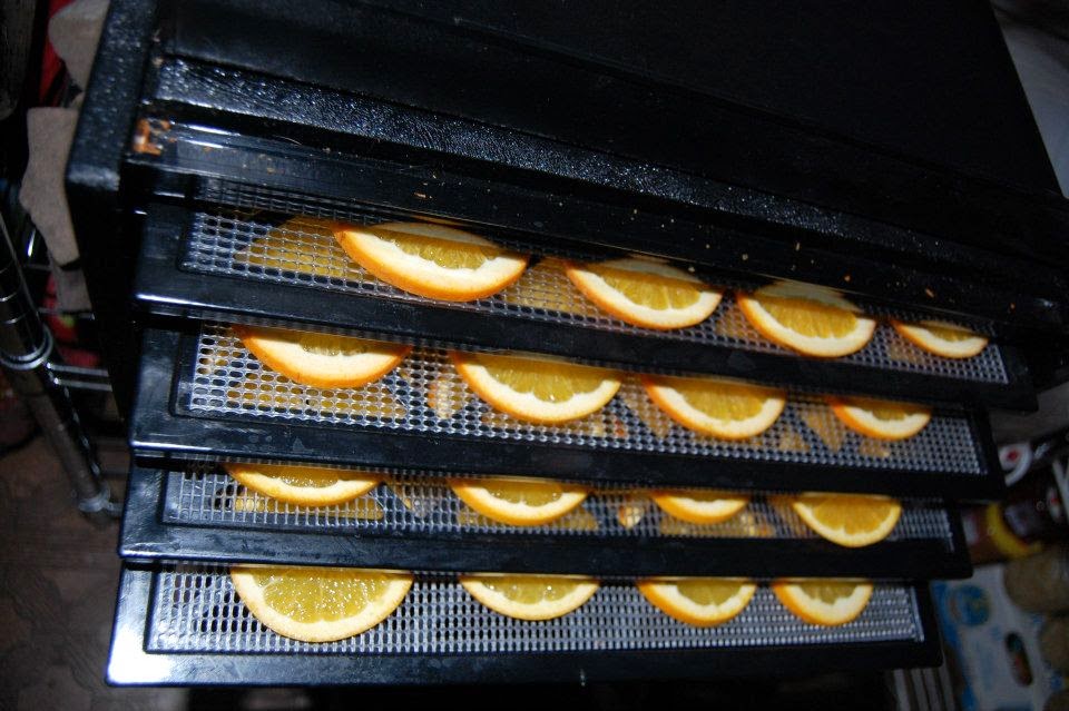 Perky Prepping Gramma Dehydrating, Vacuum Sealing Oranges & a Tasty Treat