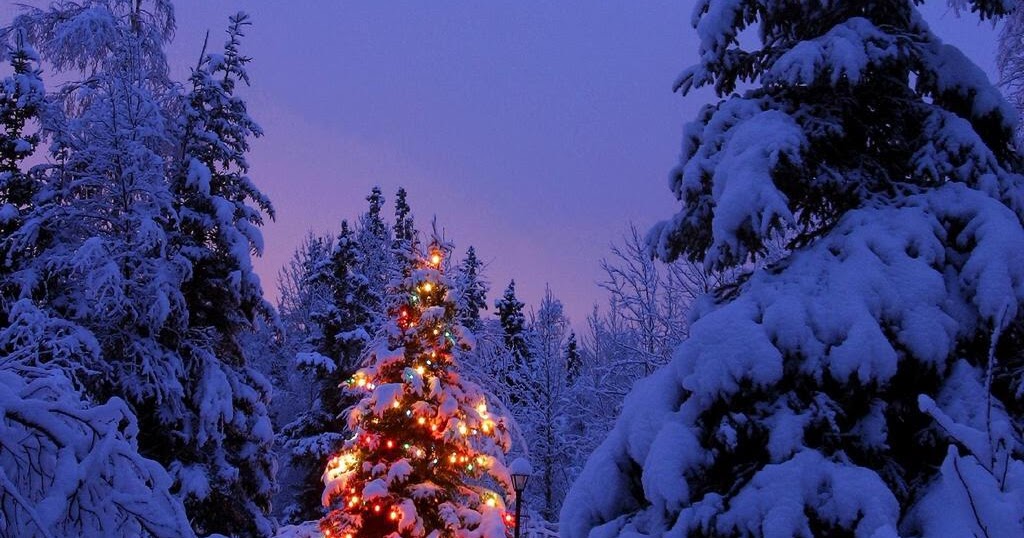 Buon natale e felice anno nuovo. Tanti Auguri di Buon Natale ~ ilpoetasognatore