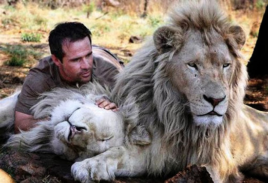 When Humans and Animals Get Along