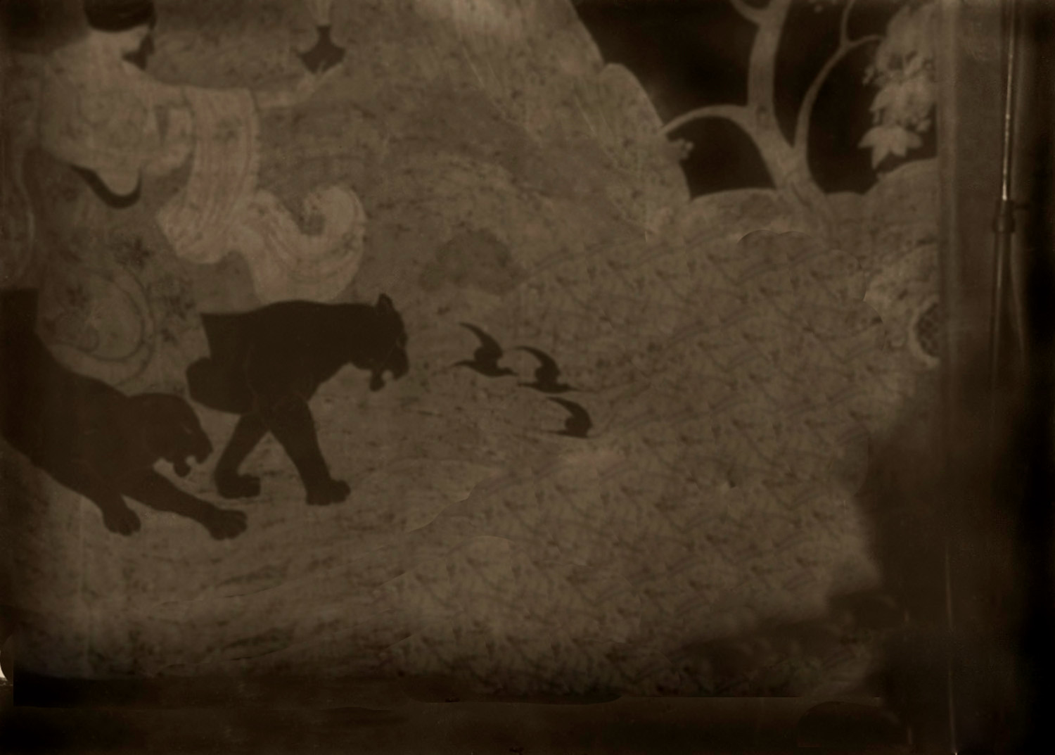 Pat David 2 5d Parallax Animated Photo Tutorial Using Free Software