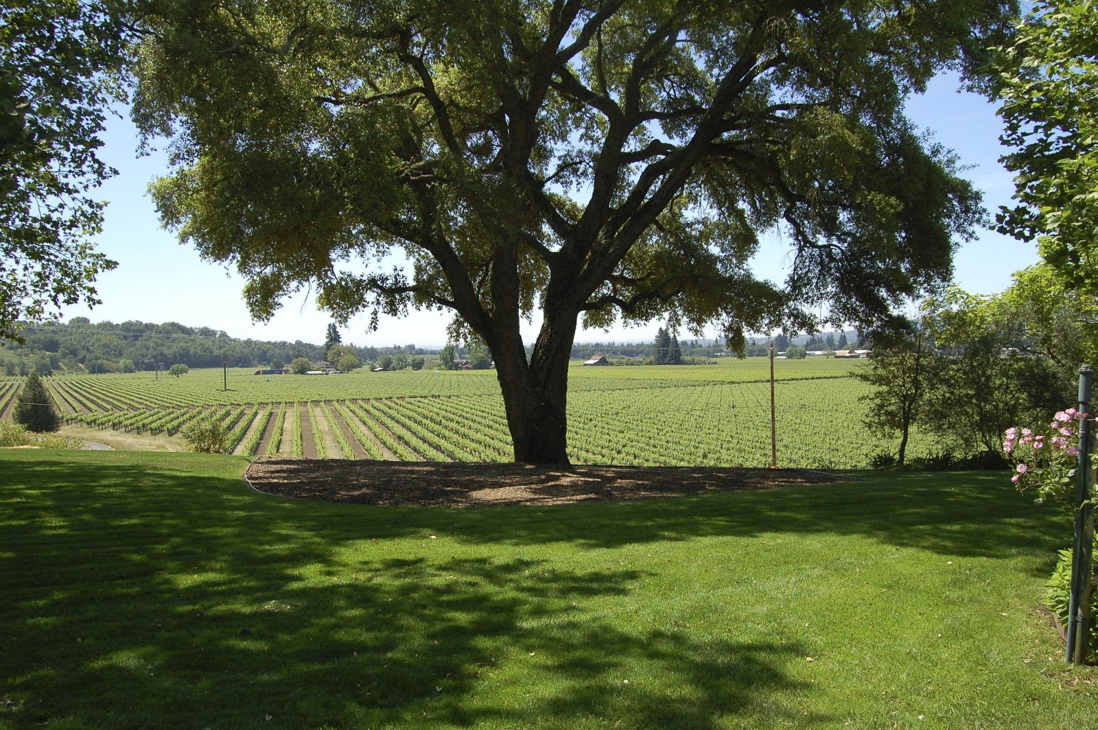 Kettler Cuisine Kettler Travel Journal San Francisco Part 2