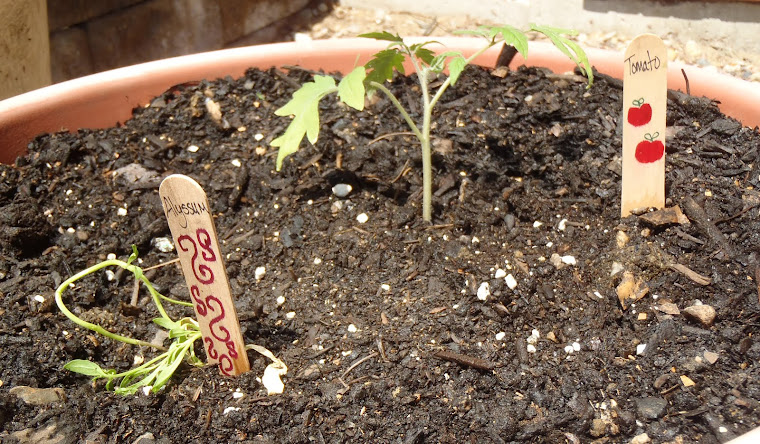 GARDEN IN A POT