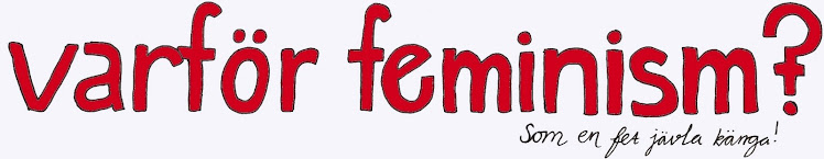 varför feminism?