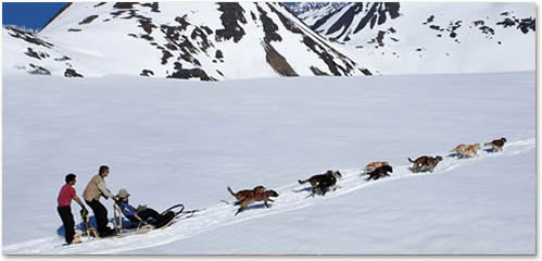 alaska dog sledding