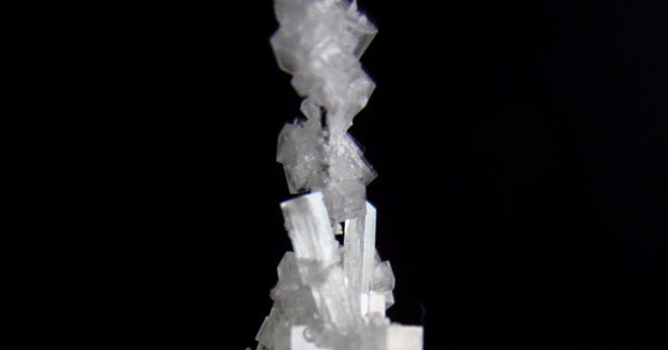 A Little Crafty: Growing Salt and Sugar Crystals