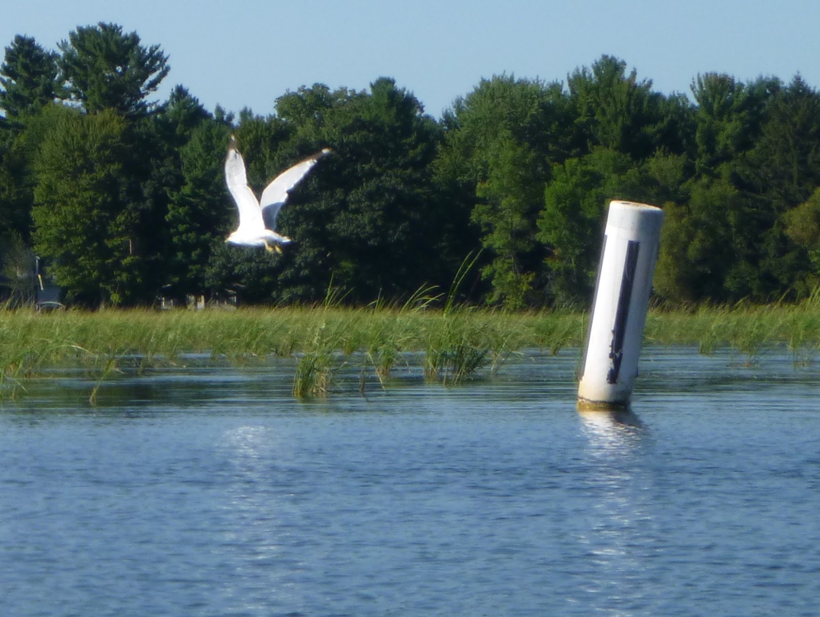 Kayaking Waupaca Area Waters August 2012