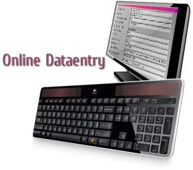 Outsource Online Data Entry Services