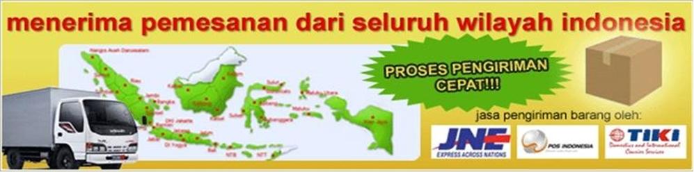 Jual Bibit |Bibit Kentang Atlantik| Jual Bibit Kentang Unggul  | Jual Bibit Kentag G3 | Jual Bibit 