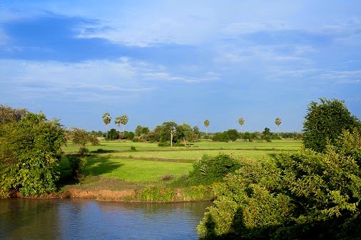 Cambodian Landscape