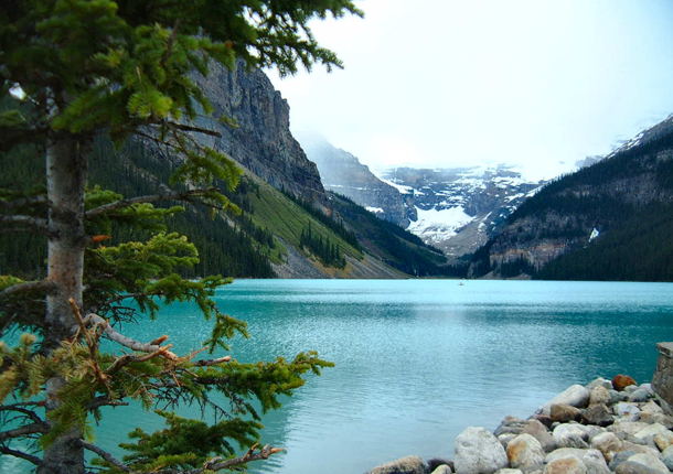 The Grove Lake+Louise,+Canada