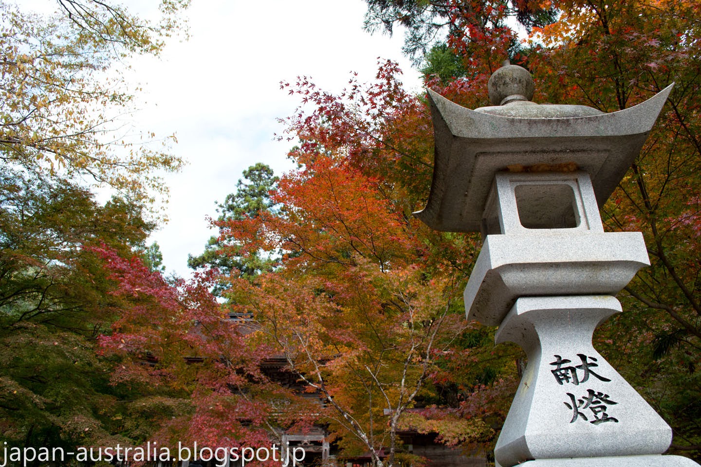 The Japanese Garden Of Koishikawa Korakuen Autumn Colors In