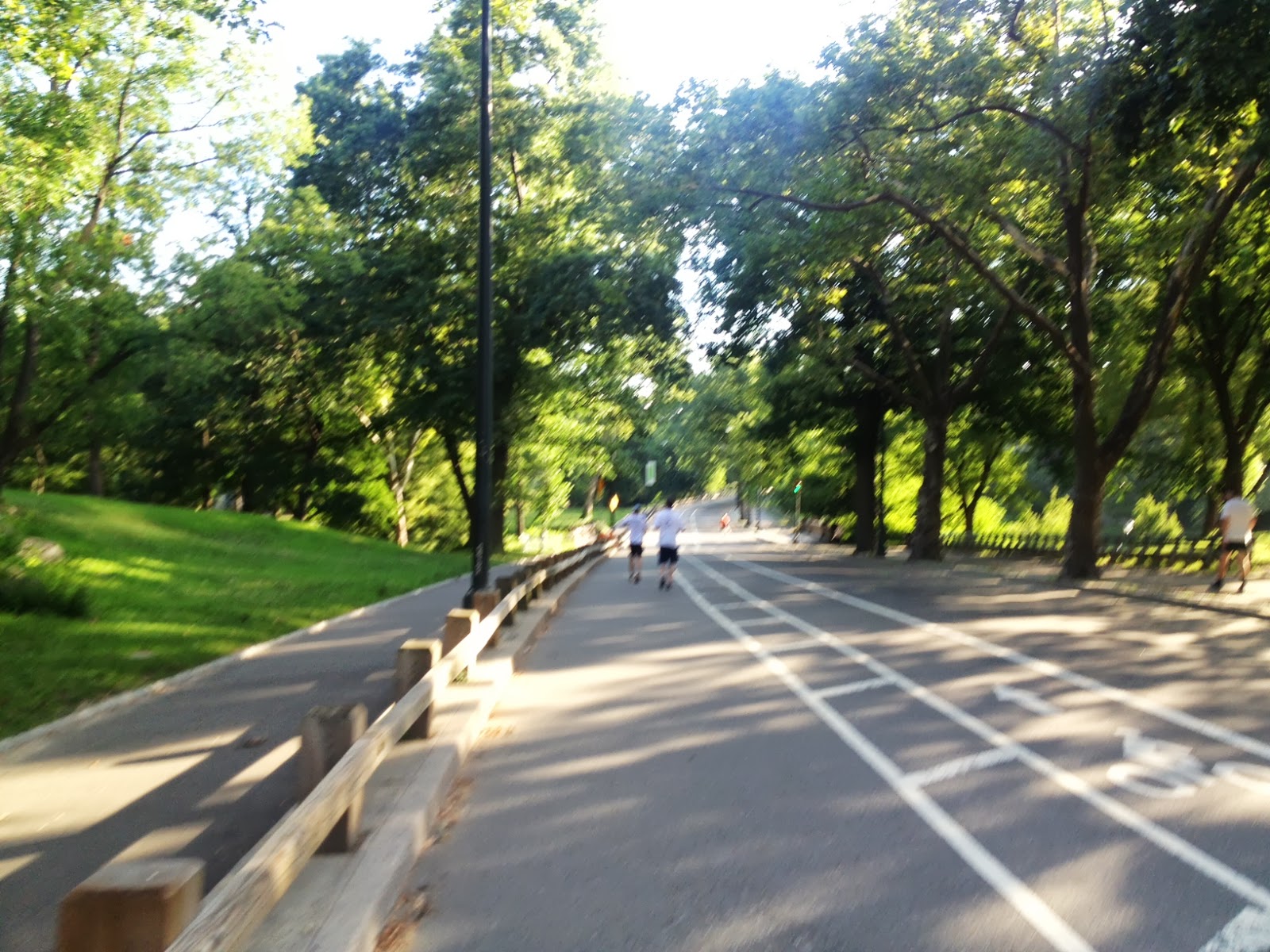 Running in Central Park The Runner Beans
