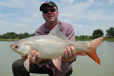 Giant+mekong+catfish+world+record