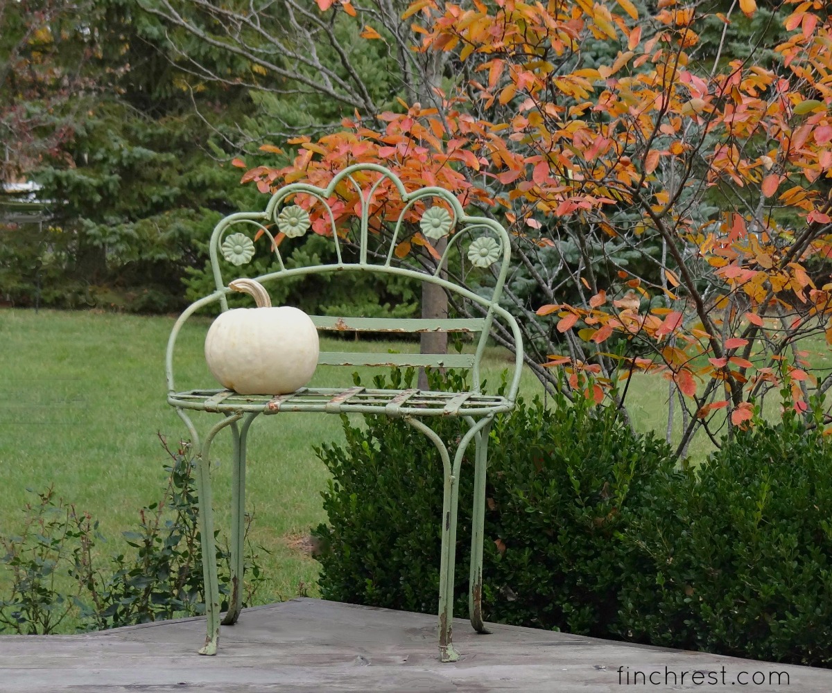 The Nest At Finch Rest White Pumpkin On Garden Bench