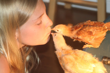 Kissing Chicks