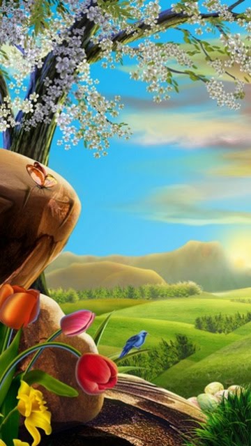 Wallpapers Wallpapers