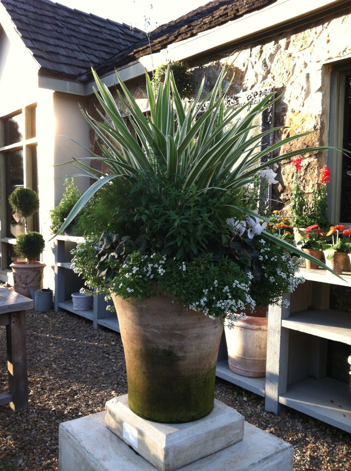 information about home design MORE STYLISH SHOPPING IN HOUSTON