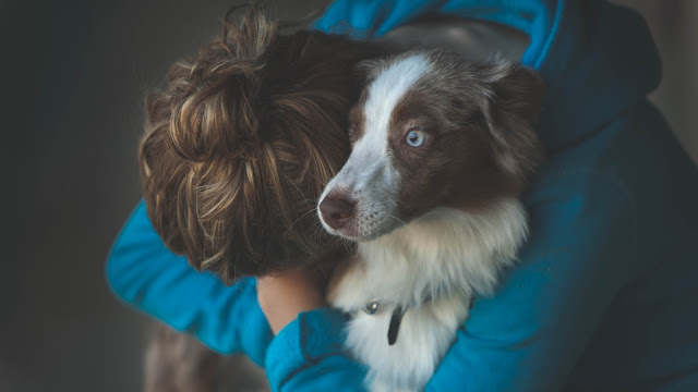 girl in blue сweatshirt hugs blue eyed dog