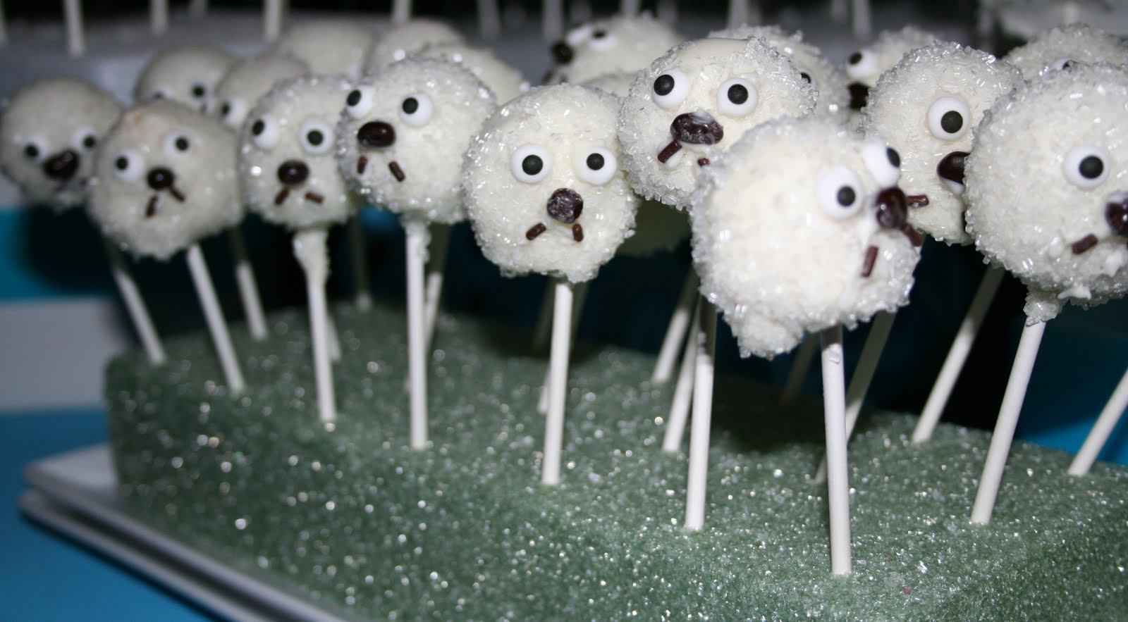 D2D Desserts for Donations Seal Day Cake Pops Preparation