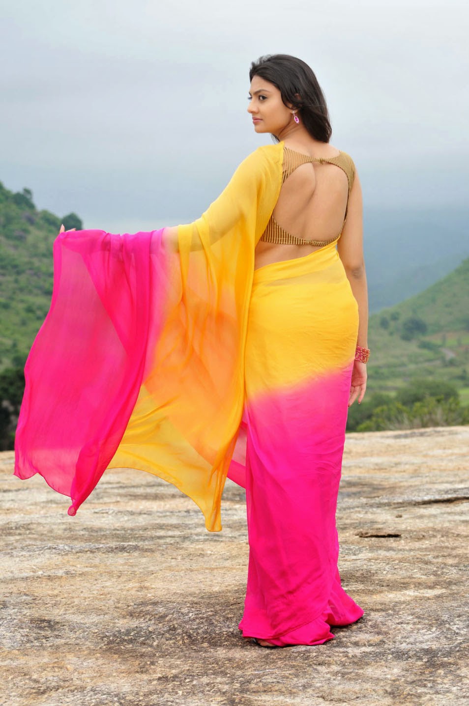 The Ultimate Show Woman: Hot Saree Blouse Back Neck Designs Photos 2014