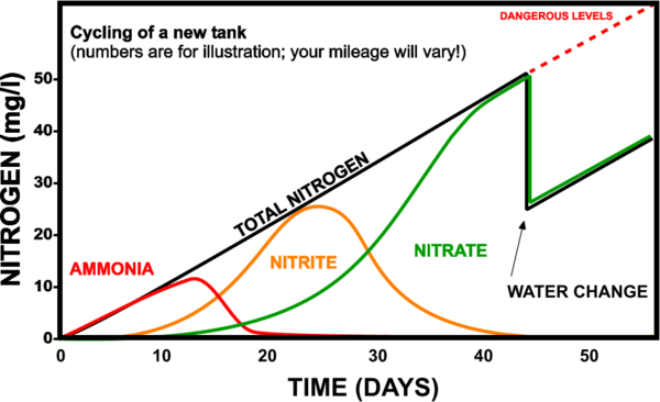 fish girl writes freshwater aquarium nitrogen cycle saltwater tank cycle chart