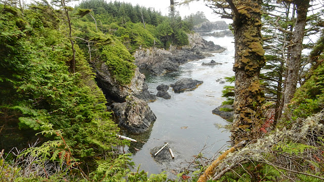 Ucluelet - Wild Pacific Trail