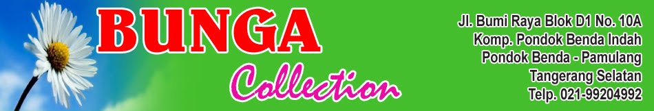 Celana Collection