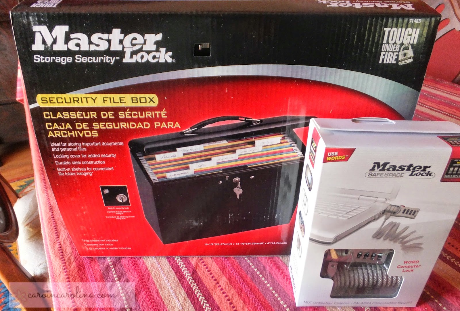 The Art of Random WillyNillyness Master Lock Document Storage Box and