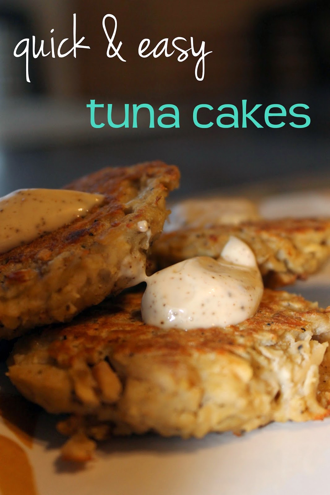 Hank and Honey Tuna Cakes Don't Knock 'Em Until You Try 'Em!