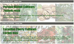 Fruit and Nut Cultivars