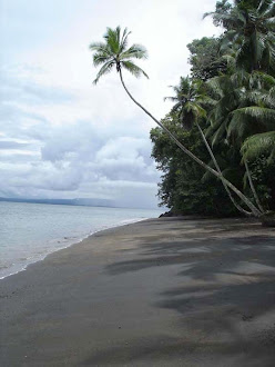 Playa en Costa Rica