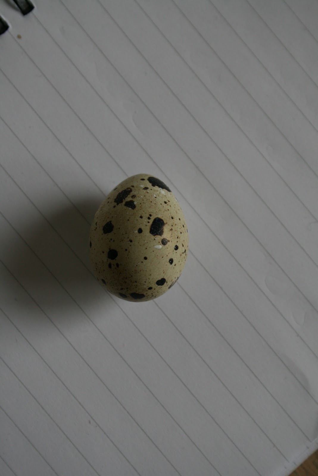 Quail Egg Shot