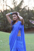 Neelam Upadhyay Hot pics in Blue saree-thumbnail-20