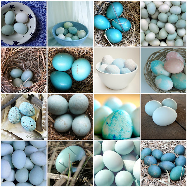 Bird In Everything Bird Egg Candy