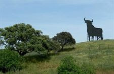 Black Bull Sign on A 44, Jáen