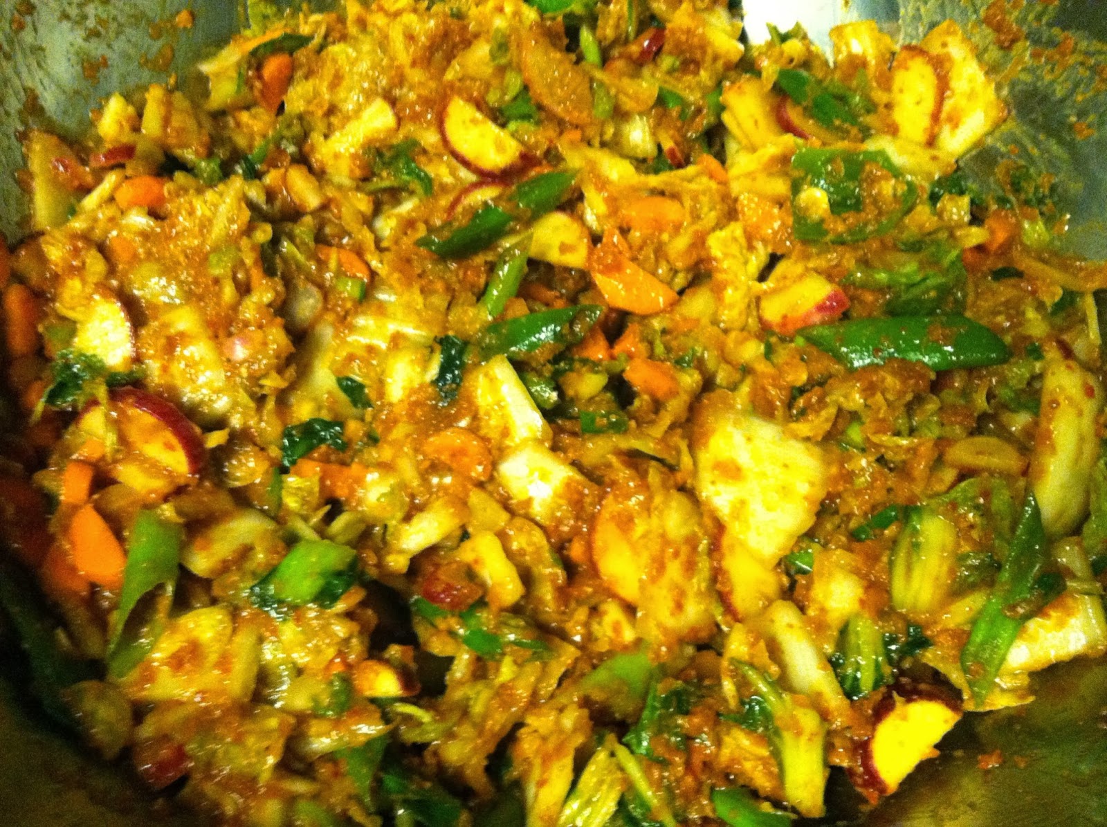 Herbal Medicine Box Fermenting Kimchi