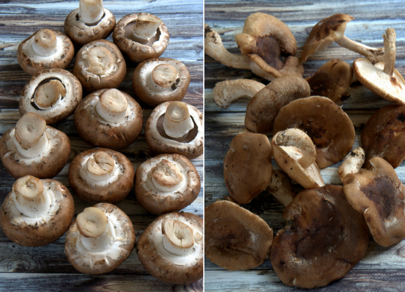 Wild Greens and Sardines : Roasted Mushroom Salad