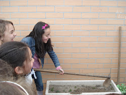 Horta