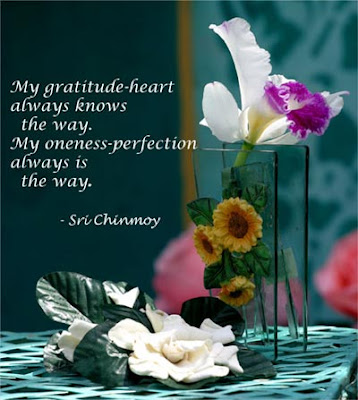 Amazing Gratitude Inspirational Quotes And Quotations