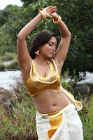 Sana Khan Hot Photos in Gajjala Gurram Movie Sana Khan Hot Photos in Gajjala Gurram Movie